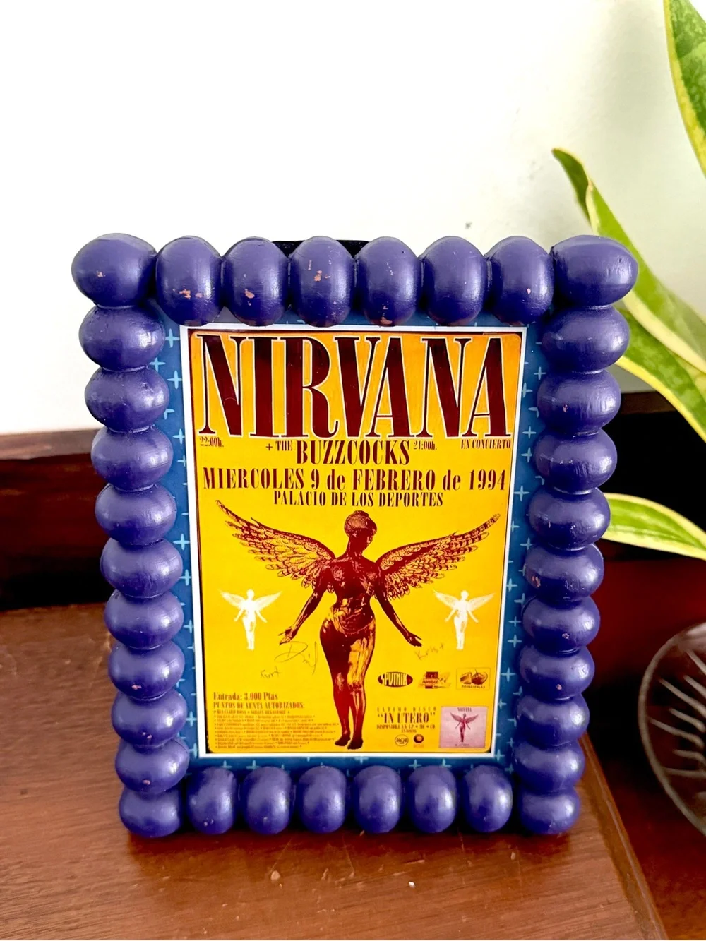 N/A nirvana buzzcocks